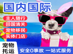 连云港花果山空运地址国际宠物托运 【国